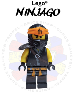 Lego® Ninjago® Figur Cole njo532 Cole - Secrets of the Forbidden Spinjitzu