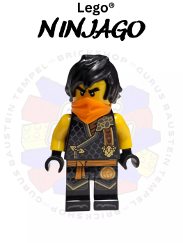 Lego® Ninjago® Figure Cole Dragons njo894