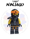Lego® Ninjago® Figur Cole njo532 Cole - Secrets of the Forbidden Spinjitzu
